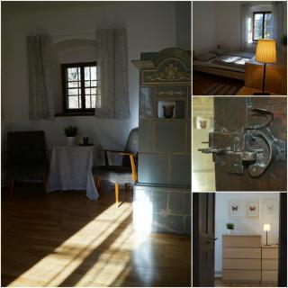 Forsthaus Gut Traunfried - 9