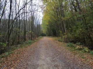 Fótos Vendégház - 4