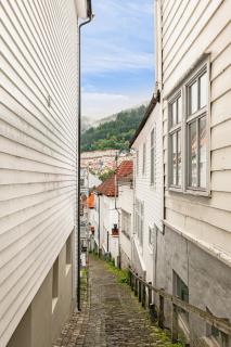 500 m til Bryggen I Skjermet Uteplass! - Bergen - 5