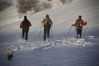 Chalets et gîtes d'Orlu - 0