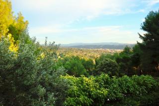L'Observateur - Aix-en-Provence - 5