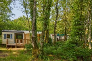 Camping Le Bois de Pleuven - Saint-Yvi - 7
