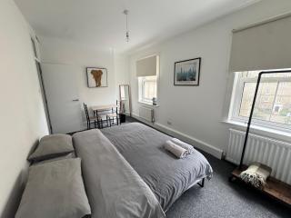 Beautiful Large Room in Central London - London - 5