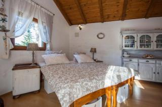 Holiday Home Stella - Zaton - 9