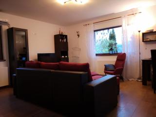 Lake House Magnolia - Buhalniţa - 7