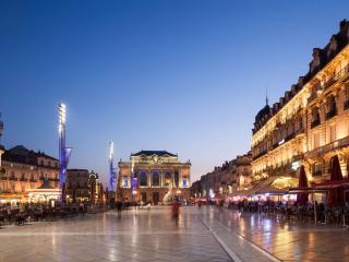 ibis Montpellier Centre Comedie - Montpellier - 3