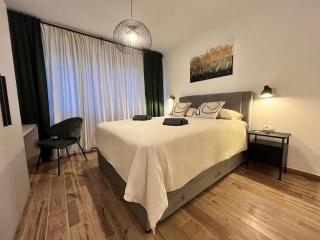 Apartman Lumiere - 9