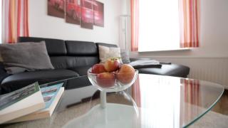 Moderne Fewo "Feuerwache" direkt am Elbdeich bei Moldenhauer - 2