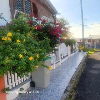 Villa fleurie - Anse-Bertrand - 3