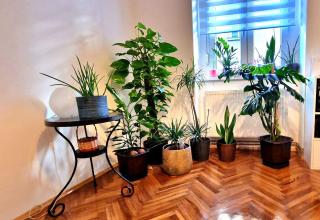 Charming 50m2 Apartment in Zagreb City Center - Zagabria - 6