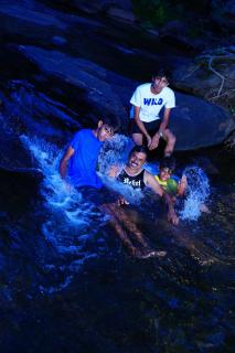 Palatty's Resorts - Athirappilly - 5