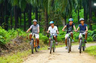 Palatty's Resorts - Athirappilly - 2