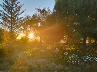 Klein Plaasjapie apartment- Hebron Guest Farm - Malmesbury - 5