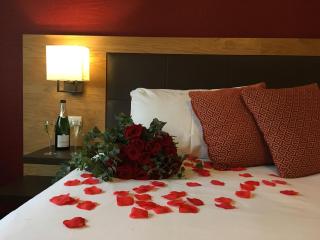 Le Lodge Brit Hotel Strasbourg Zenith - Strasbourg - 8