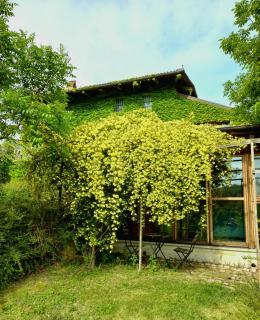 I Conti della Serva - 9