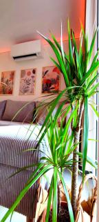 Aquarius Porto Boszkowo Apartamenty - Boszkowo - 5