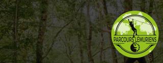 Oasis Forestier en pleine nature - - 2