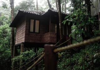 Ranches Jungle Beats Resorts - Meppādi - 4