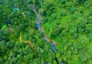 Ranches Jungle Beats Resorts - Meppādi - 0