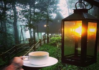 Ranches Jungle Beats Resorts - Meppādi - 7