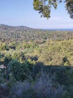 Villa Solenzaïa - Grimaud - 1