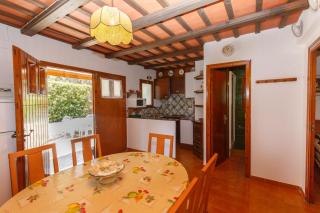 CALSINA BAX 2H - 7