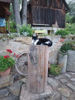 Apartmán Margarétka - 5