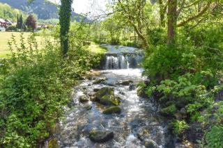 Josenhof - Wolfach - 4