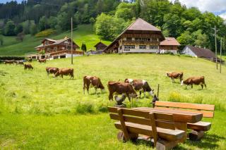 Josenhof - Wolfach - 9