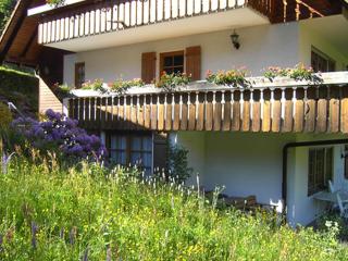 Waldhuesli Feldberg Gartengeschoss - Feldberg - 8