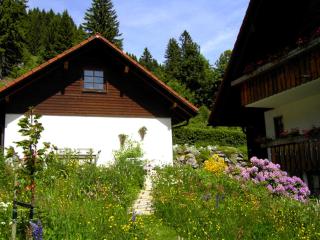 Waldhuesli Feldberg Gartengeschoss - Feldberg - 4