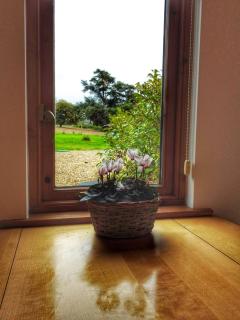 Adsdean - Chichester - 3