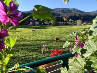 Gästehaus Sieglinde - 6