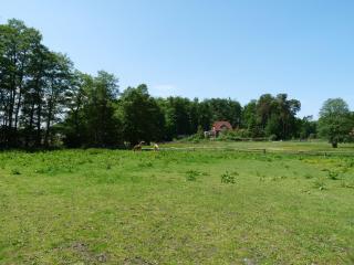 Ferienhaushälfte zum Plauer See - Lenz - 2