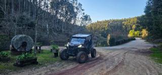 LF Racing Rent Buggy - - 6