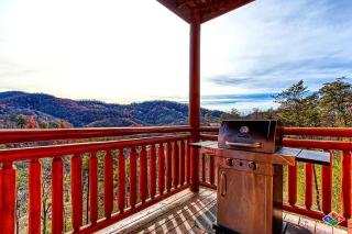 Dog Friendly Windoor Pool & Theater - Sevierville - 2
