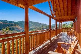 Dog Friendly Windoor Pool & Theater - Sevierville - 1