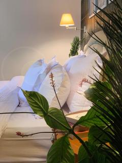 Luxury villa with swimming pool and garden - Sheikh Zayed - 6