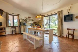 Lovely cottage with private wide garden near Orosei - Cala Liberotto - 5