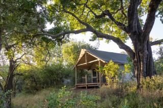Nkuwa Wilderness Camp, Selati Game Reserve - 8