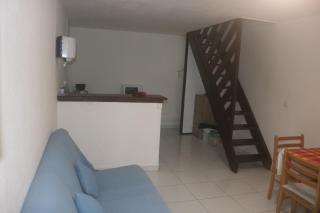 Alpinia des caraibes - Le Gosier - 9