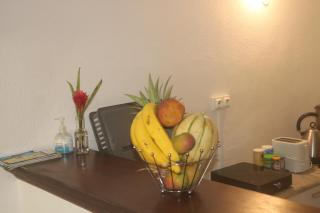 Alpinia des caraibes - Le Gosier - 4