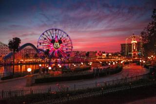 Peaceful Oasis - Anaheim - 7
