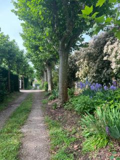 La Colombe - Vienne - 3