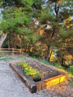La Bergerie Pool and View - Roquebrune-Cap-Martin - 1