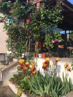 La Colombe - Vienne - 6