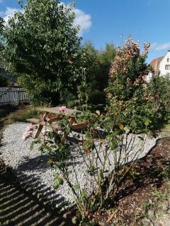Chambre 2 dans appartement partagé proche de Strasbourg - Wasselonne - 1