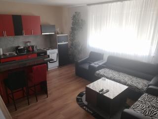 Apartman TWINS - Subotica - 6