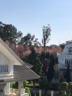 Yumie house - Da Lat - 5