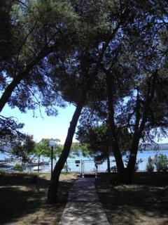 Apartmani Park - Sveti Filip i Jakov - 0